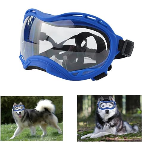 Bule Frame & Clear Lens/Large