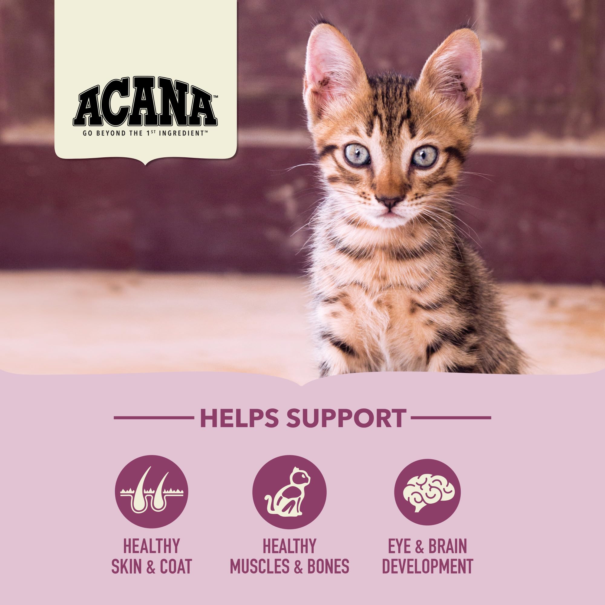 Premium ACANA First Feast Dry Cat Food for Kittens - High Protein with Free-Run Chicken & Whole Herring - 4lb Bag - Ideal for Growing Kittens & Picky Eaters