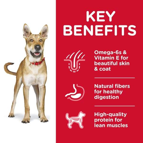 Hill's Science Diet Adult Dry Dog Food - Chicken & Barley Recipe (5lb & 15lb Bags) | High Protein Nutrition for Adult Dogs | Perfect for Daily Meals & Active Lifestyles