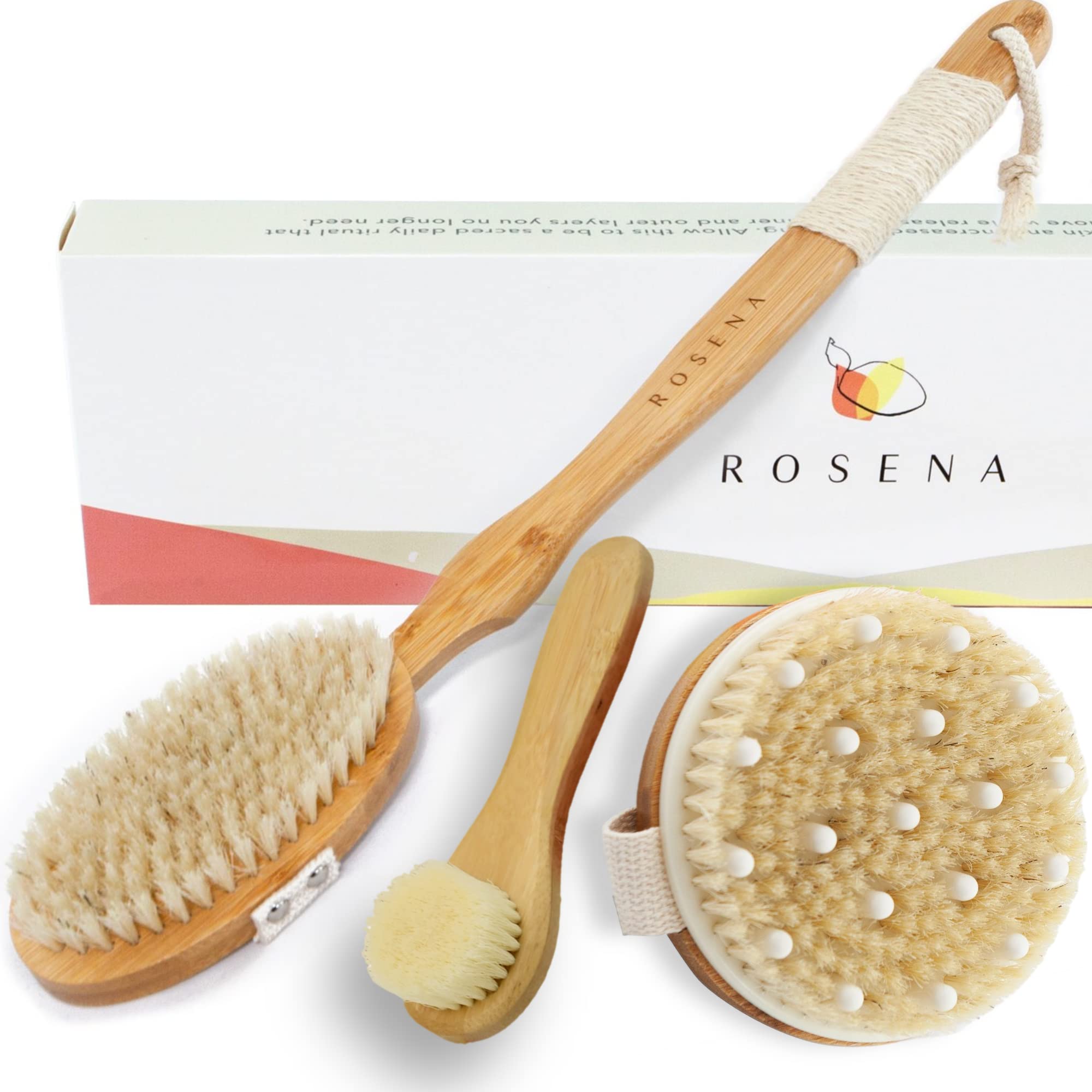 Dry Brushing Body Brush Set for Exfoliation & Skin Renewal - Natural Bristle Body Brush, Long Handle Back Brush & Face Brush Bundle - Perfect for Dry Skin Care, Lymphatic Drainage & Spa-Like Home Massage