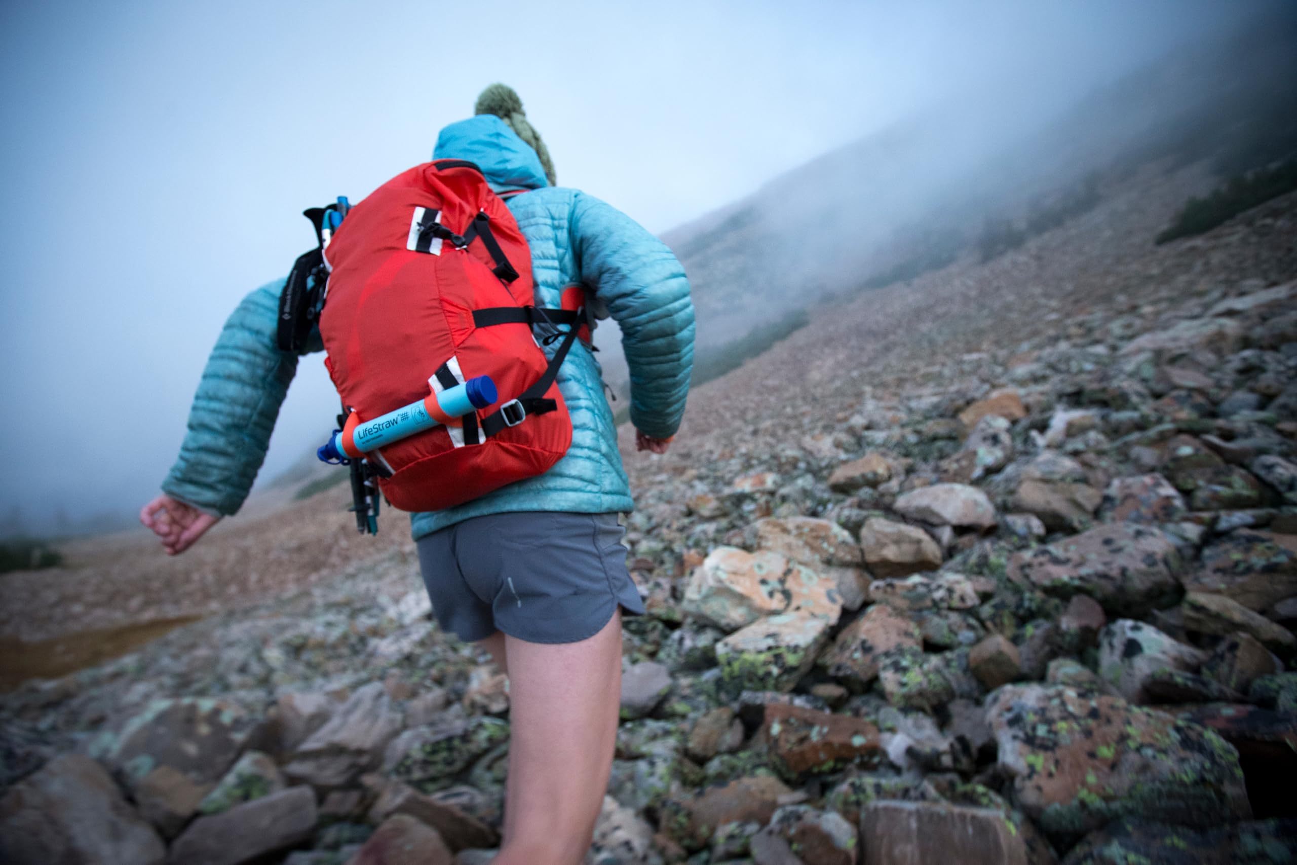 LifeStraw Personal Water Filter - Portable Survival Straw for Hiking, Camping, Travel & Emergency Preparedness | Purify Streams, Lakes & Tap Water Anywhere