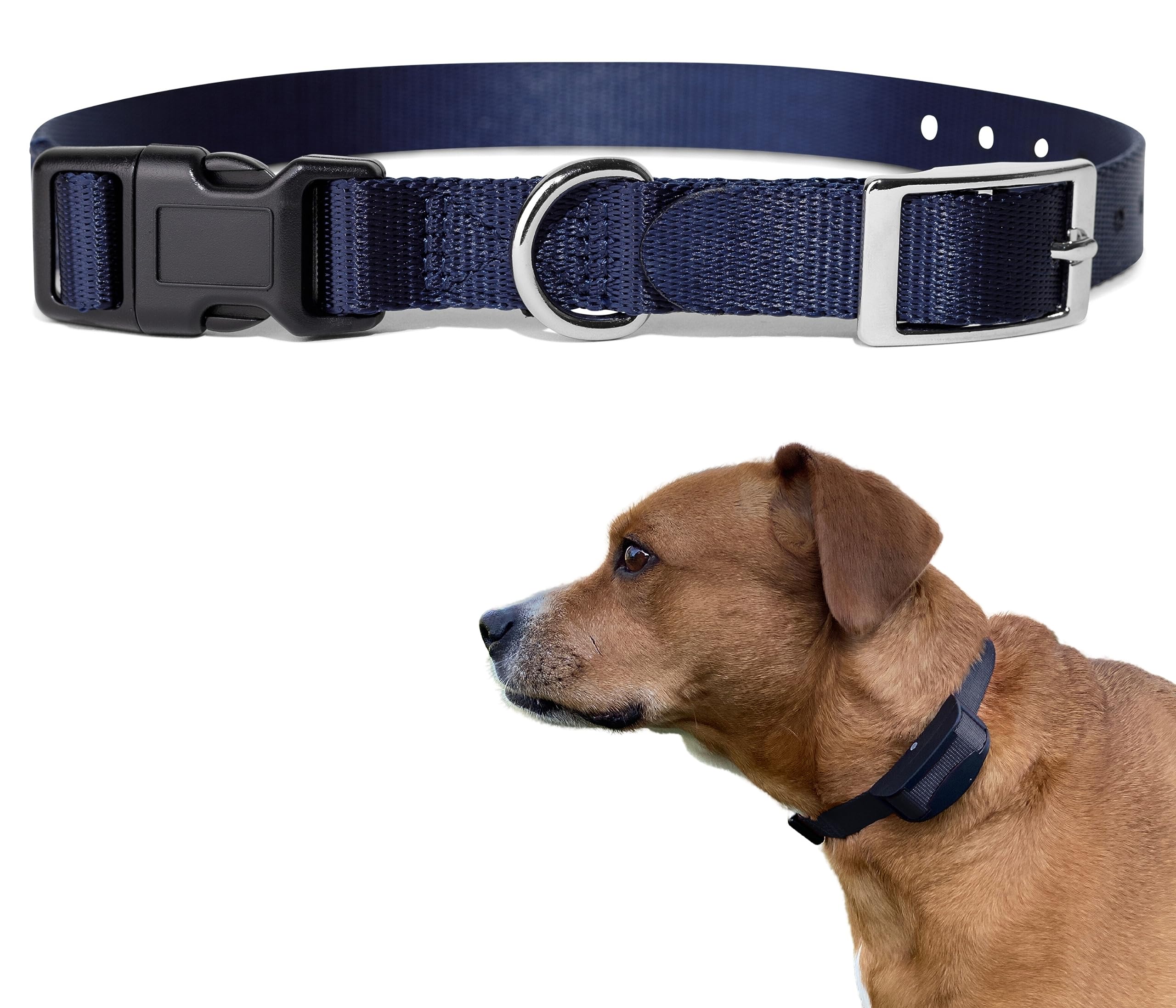 Replacement Strap for Shock Collar & Invisible Fence Collar - 3/4