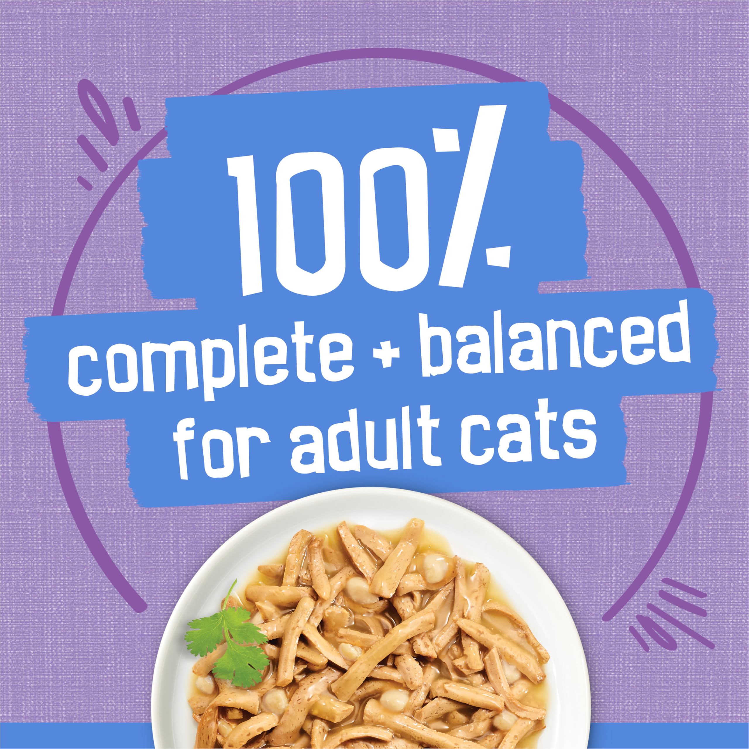 Friskies Shredded Wet Cat Food with Turkey & Cheese in Gravy - 24 Pack (156g Cans) | High Protein Meal for Adult Cats | Perfect for Picky Eaters & Daily Feeding