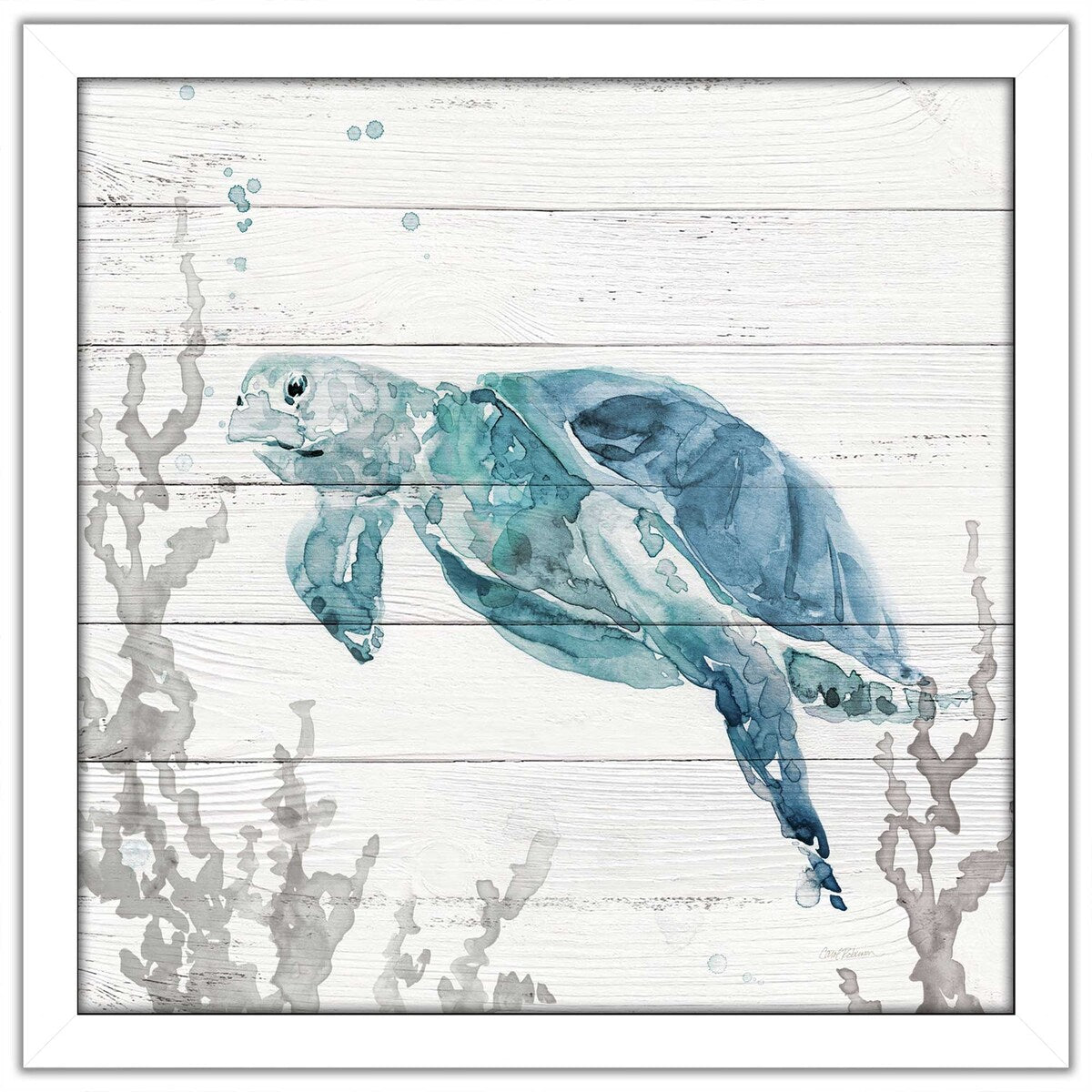 Carol Robinson Aqua Turtle II Acrylic Print - Vibrant Underwater Art for Home & Office Decor