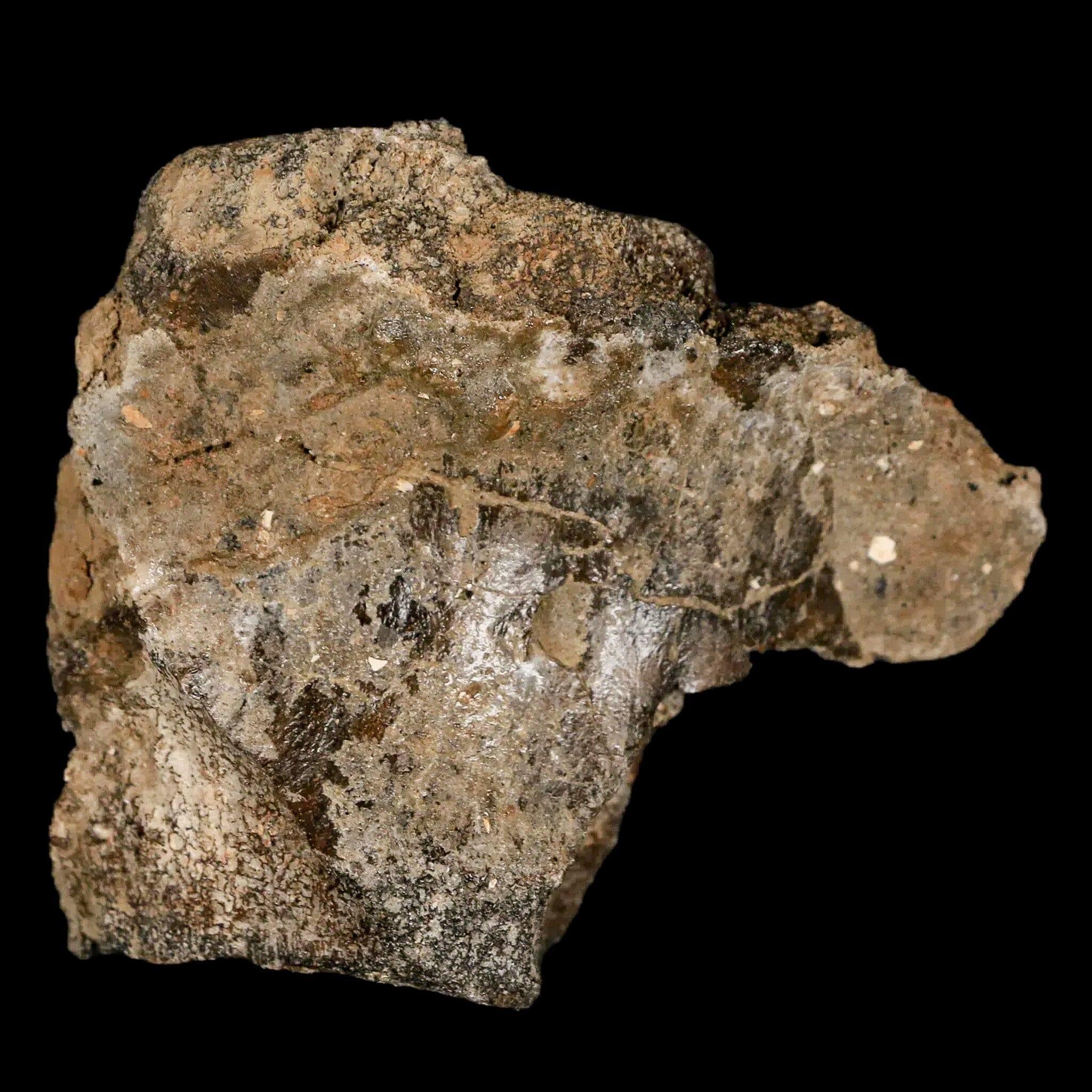 2.6