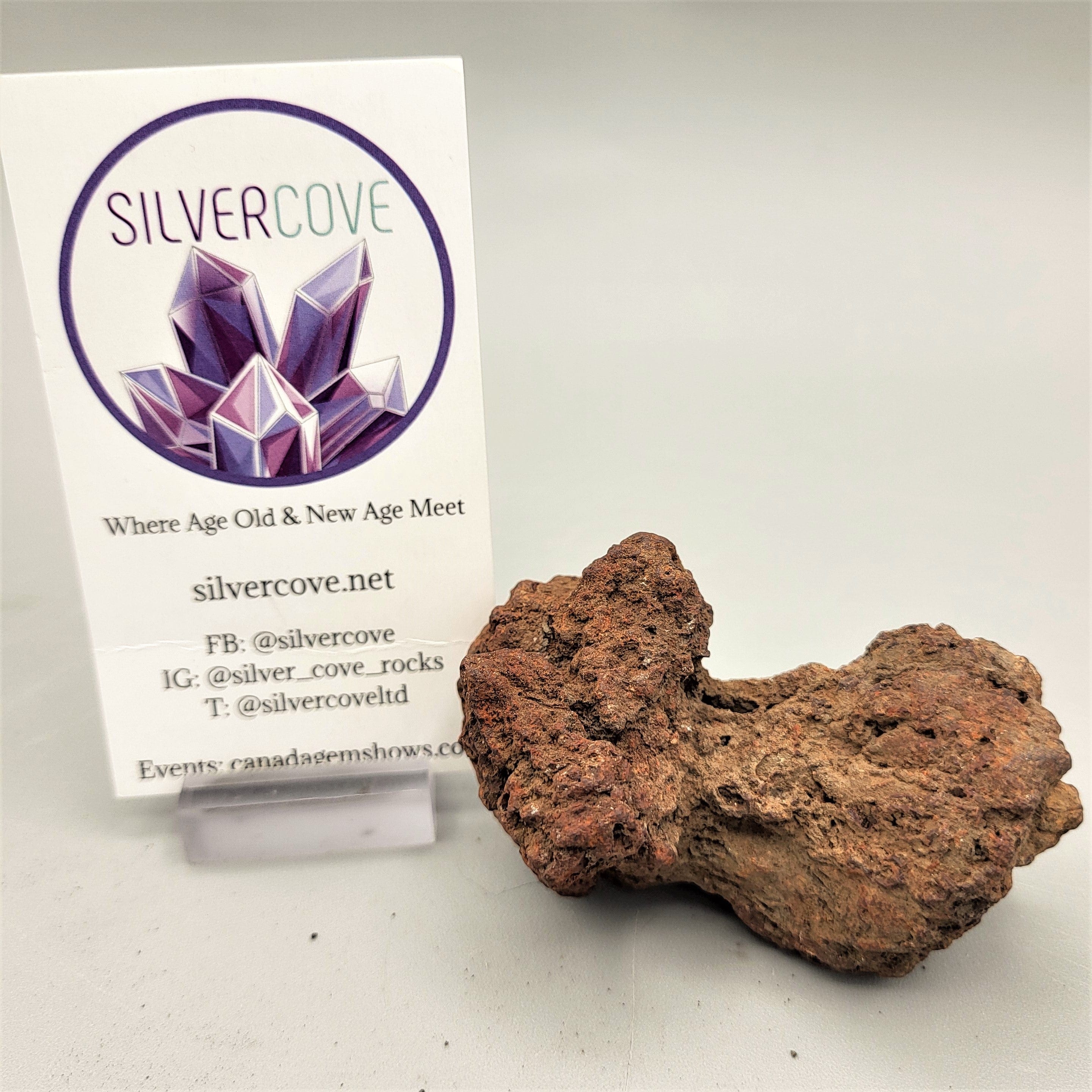 Authentic Coprolite Fossil Specimen - Dinosaur Poop Fossil for Collectors, Education & Home Decor | Perfect for Science Enthusiasts & Paleontology Gifts