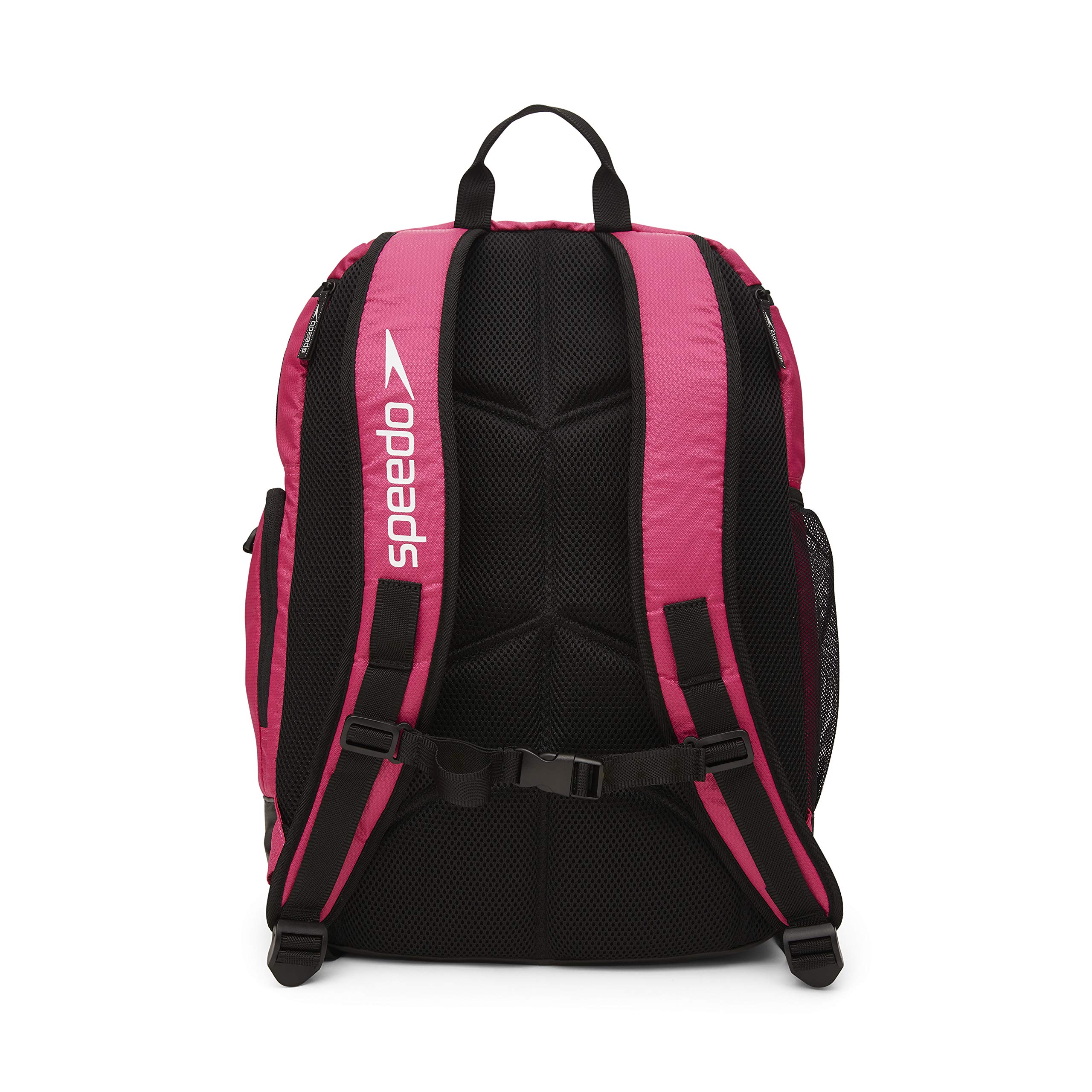 Speedo Unisex-Adult Large Teamster Backpack 35L - Durable Water-Resistant Gym Bag for Swimming, Travel & School | Perfect for Sports, Work & Outdoor Adventures