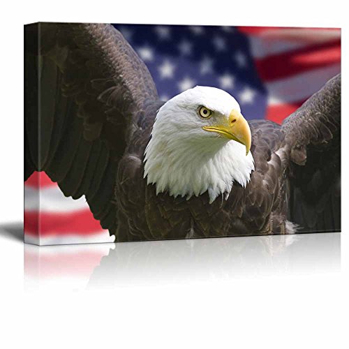 Eagle With American Flag