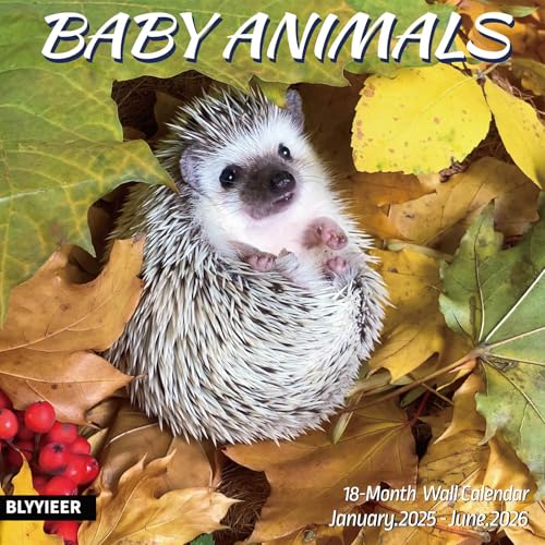 Babyanimals