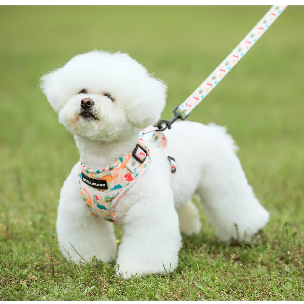Adjustable Air Mesh Dog Harness and Leash Set for Small Medium Large Dogs - Escape Proof Pet Vest with Soft Handle & 5Ft Training Leash (Dinosaur Print, XS) - Perfect for Walking, Training, and Outdoor Adventures