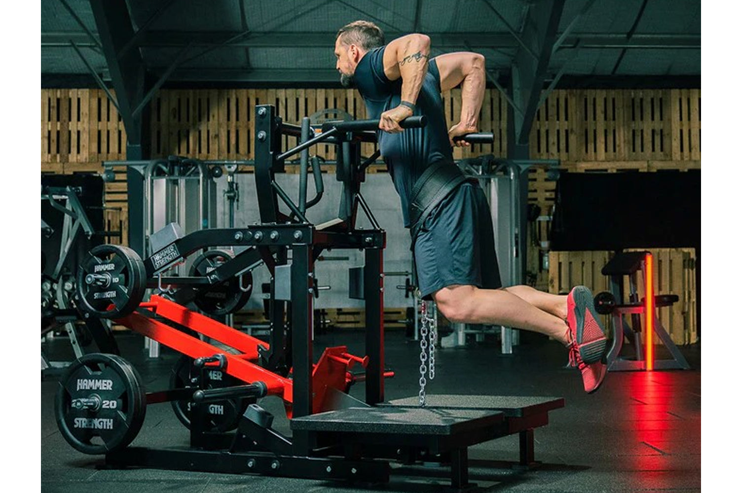 Hammer Strength Plate Loaded Belt Squat Machine - Professional Gym Equipment for Leg Workouts & Strength Training | Perfect for Home Gyms & Commercial Fitness Centers