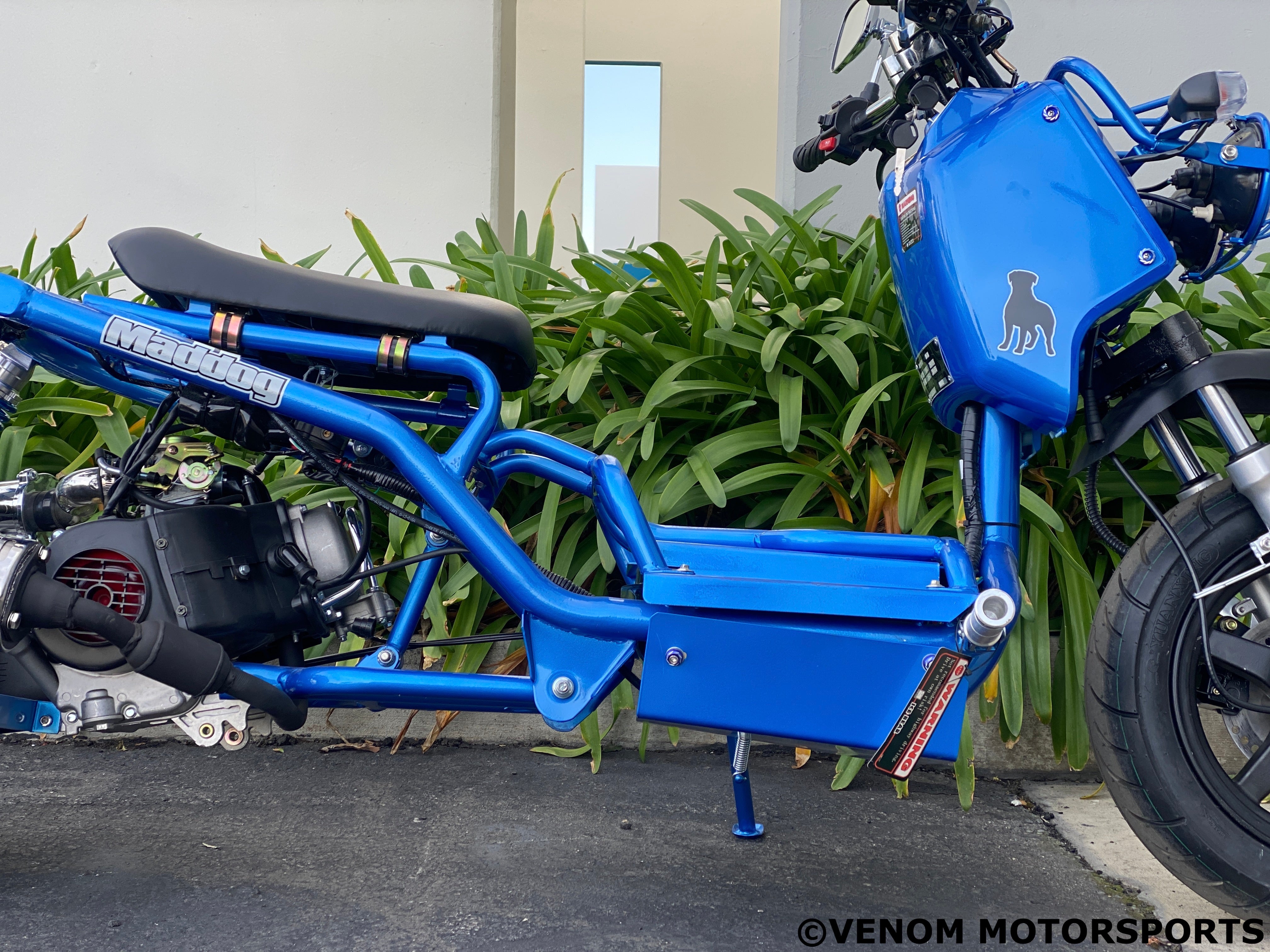 50cc Maddog Scooter - 1st Generation Automatic Transmission Moped for Adults | Commuting, Campus Riding & Urban Transportation