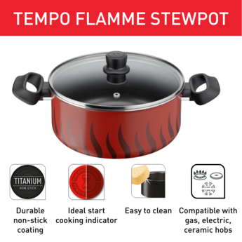 Tefal 28cm Stainless Steel Stew Pot with Lid - Durable Cooking Pot for Soups, Stews & Pasta - Perfect for Home Kitchen & Professional Chefs