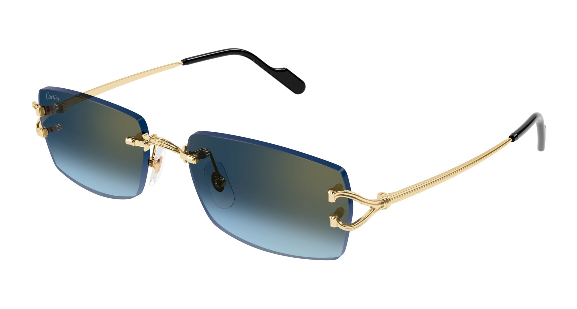 Gold/Blue