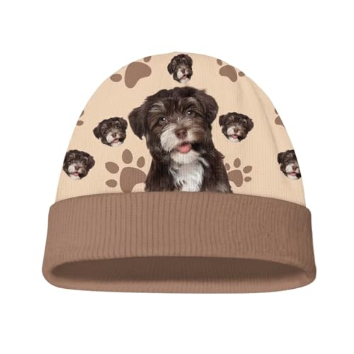 Paw Puppy Dog