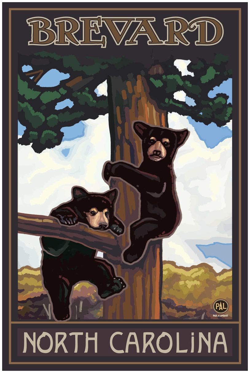 Two Bears in Tree Giclee Art Print Poster - Brevard North Carolina Landscape Artwork by Artist Paul A. Lanquist - 30x45 Inches - Perfect for Home Decor, Office Wall Art & Nature Lover Gifts