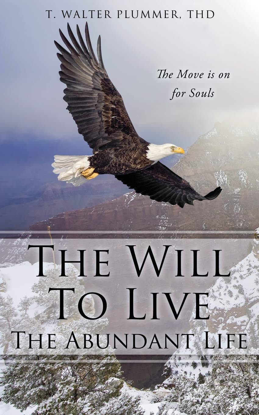 The Will to Live the Abundant Life: Inspirational Book for Spiritual Growth & Personal Development - Perfect for Christian Readers, Bible Study Groups & Self-Reflection