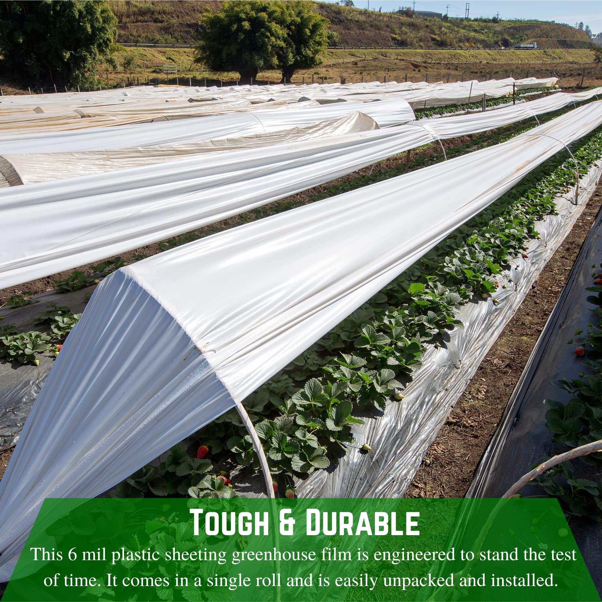 White Greenhouse Plastic Sheeting 6 mil (25' x 30') - 4 Year UV Resistant Poly Film - 55% Light Transmission for Hoop House, Gardening & Agriculture | Durable Farm Plastic Supply for Plant Growth & Crop Protection