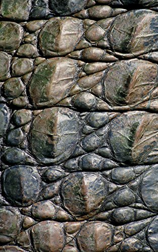 Gator Skin