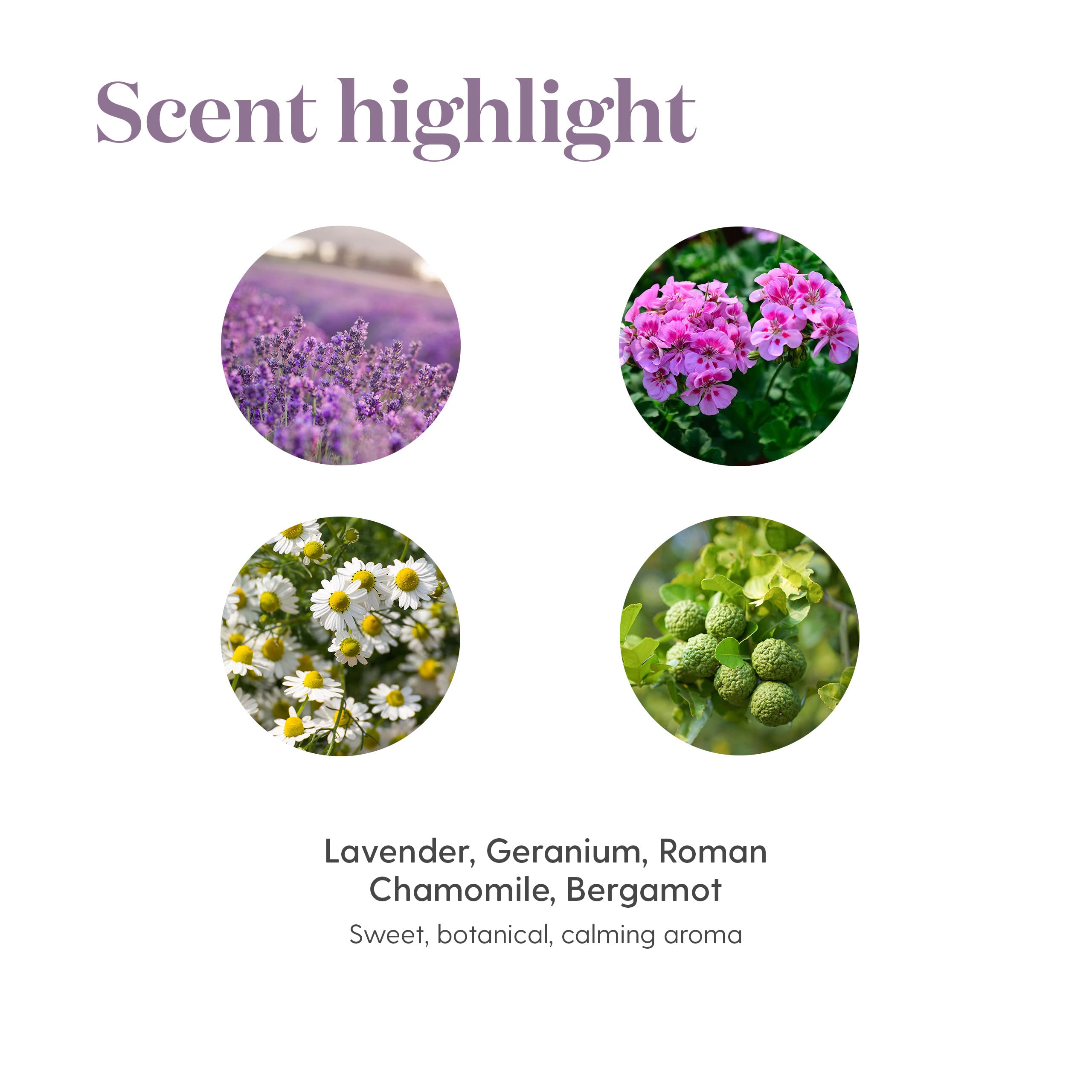 Young Living KidScents SleepyIze Essential Oil Blend - 5ml for Kids | Calming Aromatherapy & Topical Use | Promotes Relaxation & Better Sleep for Children | Perfect for Bedtime Routine & Diffuser Blends