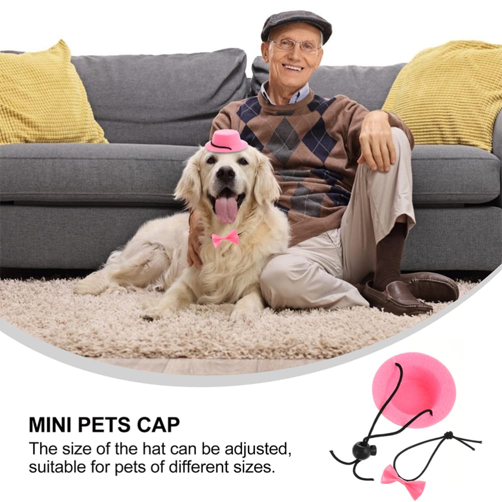 Funny Pet Costume Set - Tiny Party Hats & Necktie for Small Animals - Perfect for Parties & Photos
