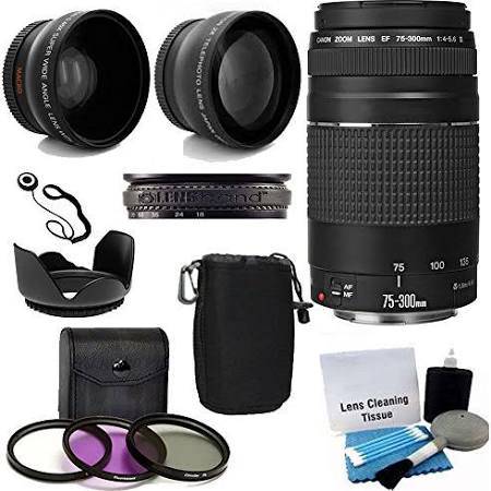 Canon EF 75-300mm f/4-5.6 III Telephoto Zoom Lens with Lens Hood & Case - Perfect for Wildlife, Sports & Travel Photography