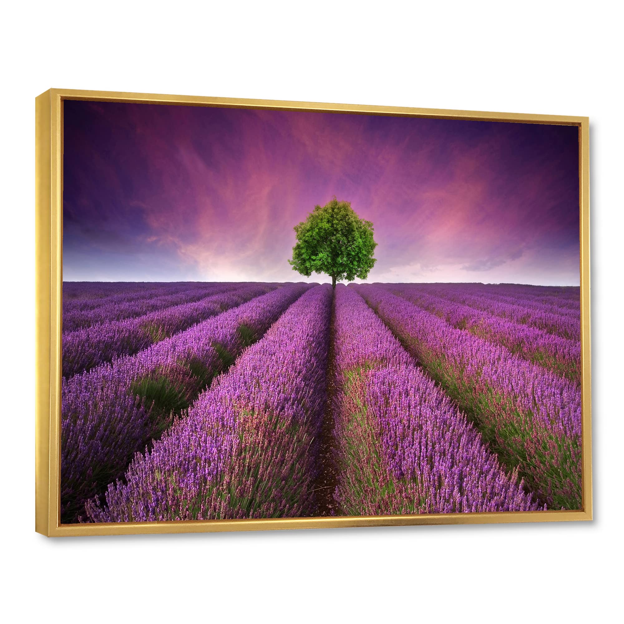 DesignQ Stunning Lavender Field Summer Sunset With Tree - Farmhouse Framed Canvas Wall Art Print for Living Room, Bedroom & Office Decor