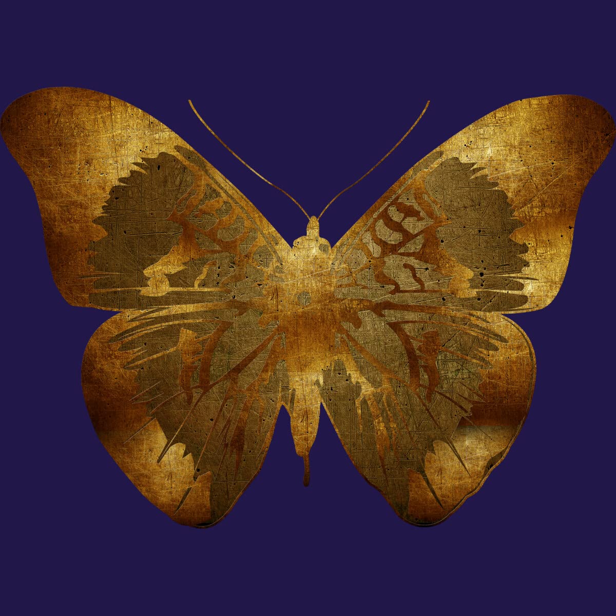 Design By Humans Junior's Iron Butterfly Graphic T-Shirt by Adamzworld - Soft Cotton Tee for Teens & Youth - Perfect for Concerts, Casual Wear & Gifts