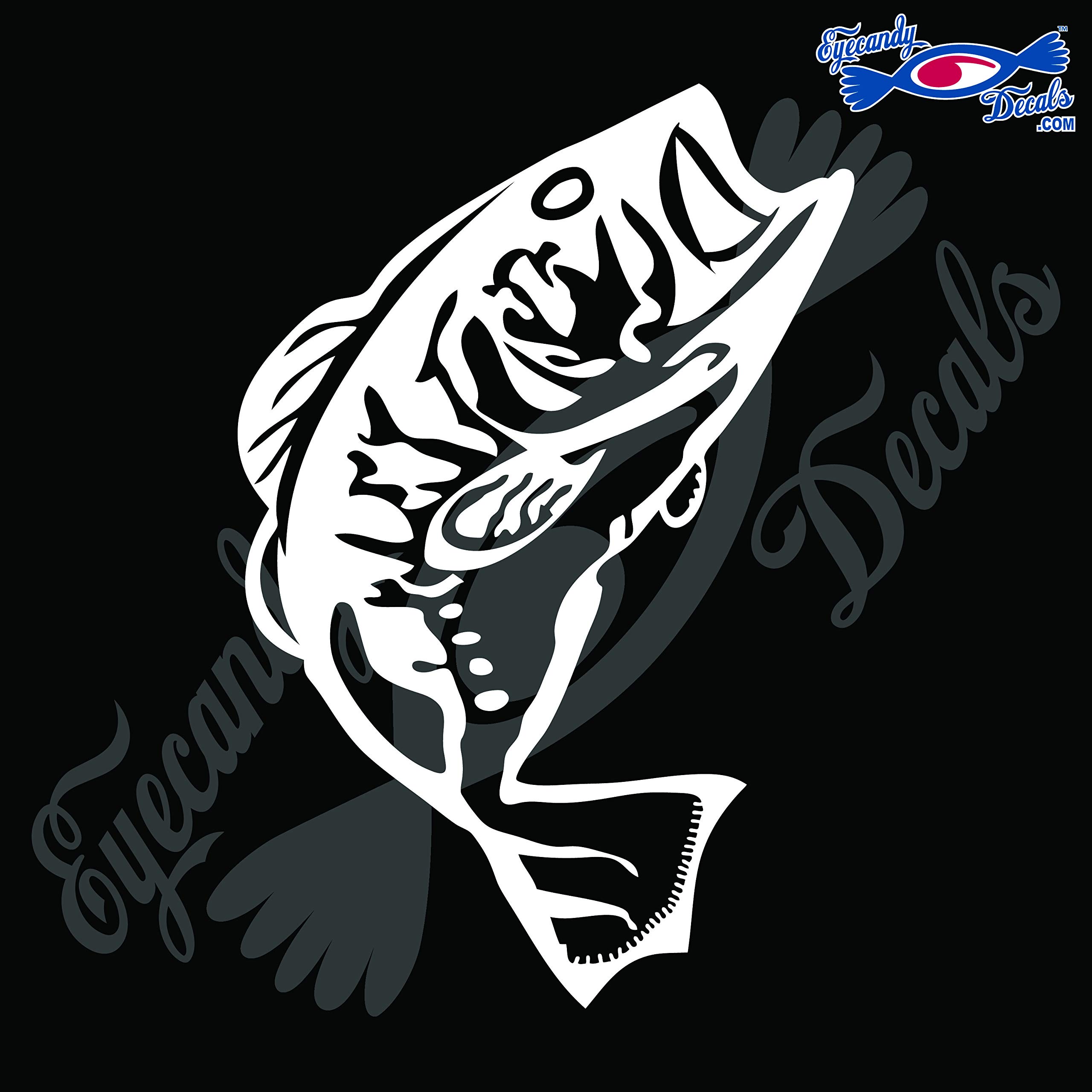 BASS 4 6