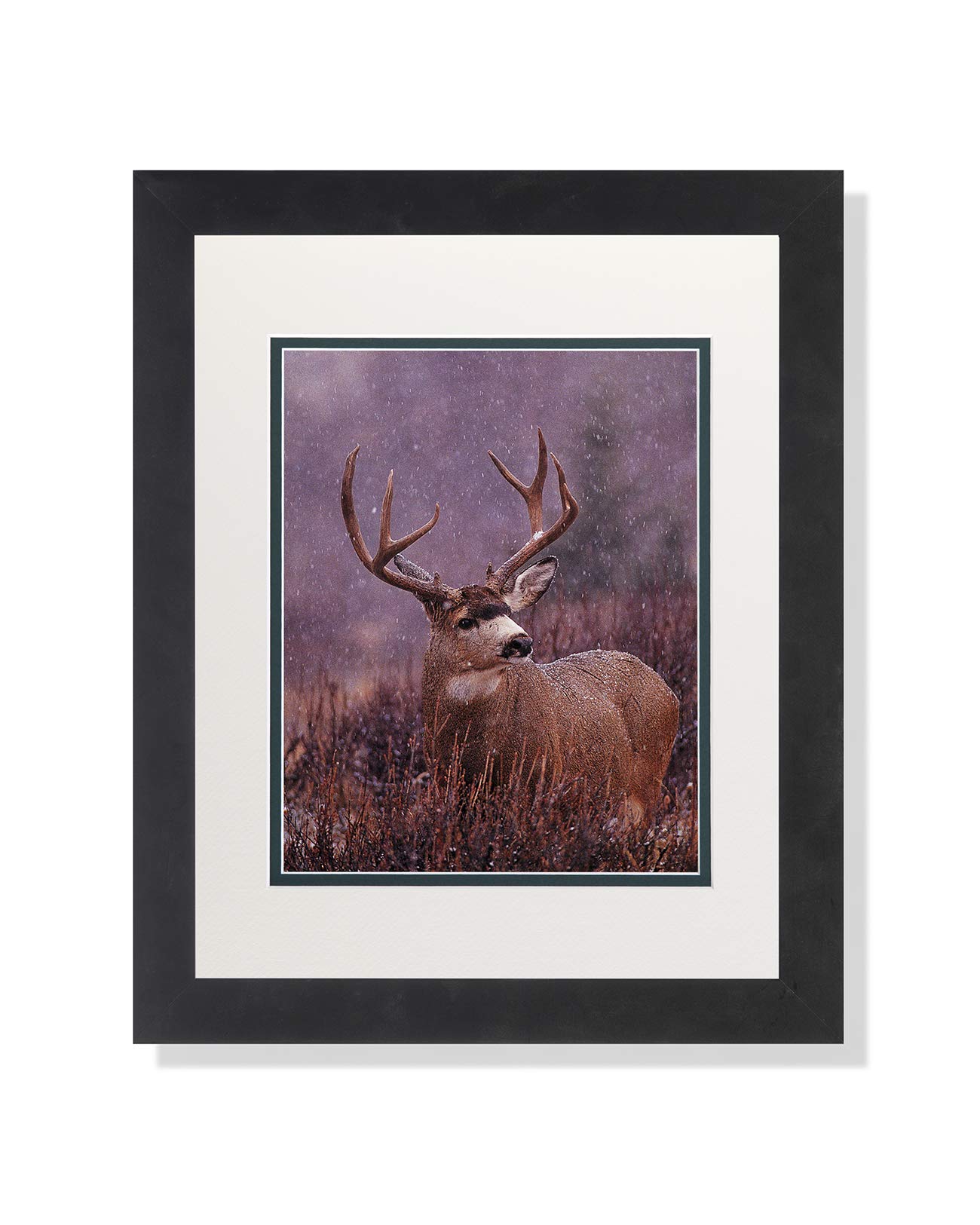 Buck Deer Big Antler Rack Standing in Ice & Snow - Framed Wall Art Print with Mat - Perfect for Cabin, Lodge, or Hunting Room Decor