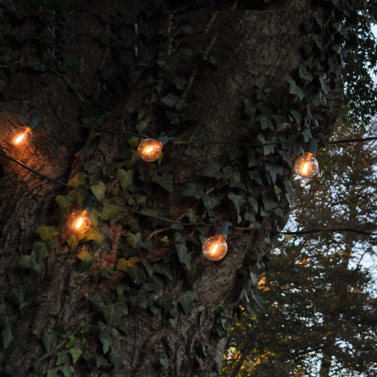 G40 LED Warm White Outdoor String Lights - 25ft Black Wire with 0.6W Edison Bulbs - Weatherproof Patio Lights for Garden, Backyard, Wedding & Party Decor