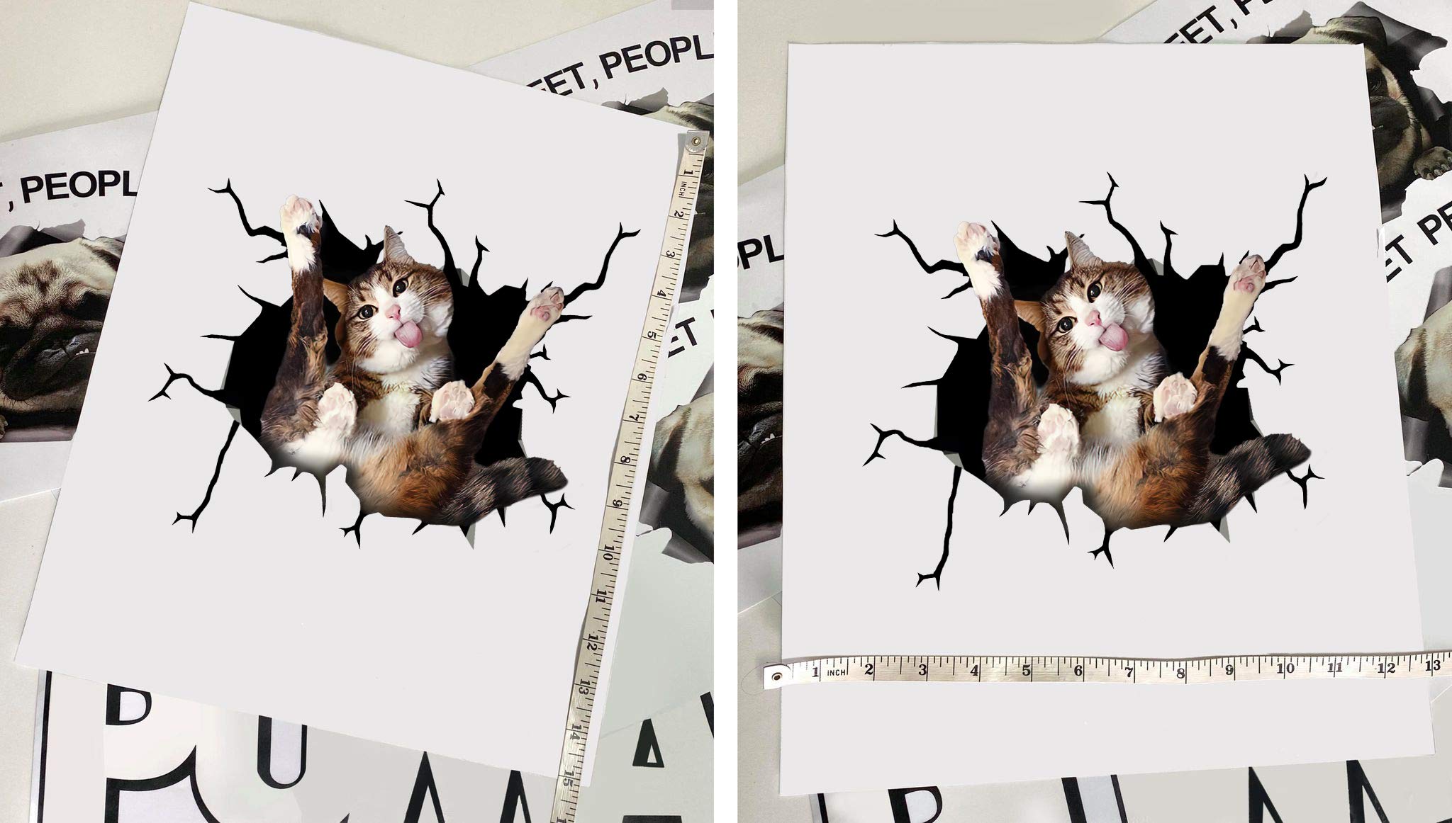 Funny Cat Car Decals Pack of 2 - 10