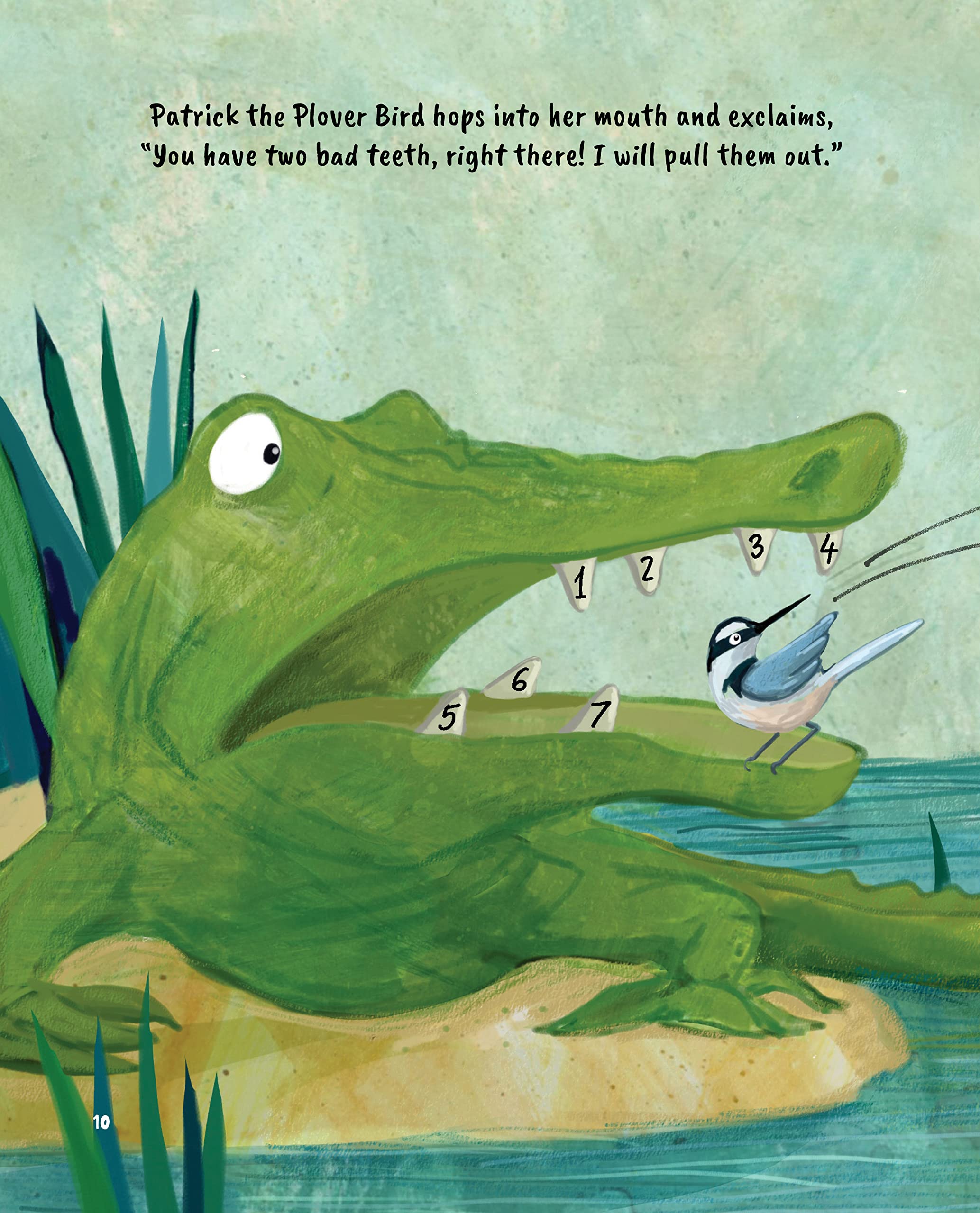 Casey the Crocodile Loses Her Teeth: A Fun Math Storybook for Kids Learning Addition and Subtraction | Educational Children's Book for Classroom & Homeschooling