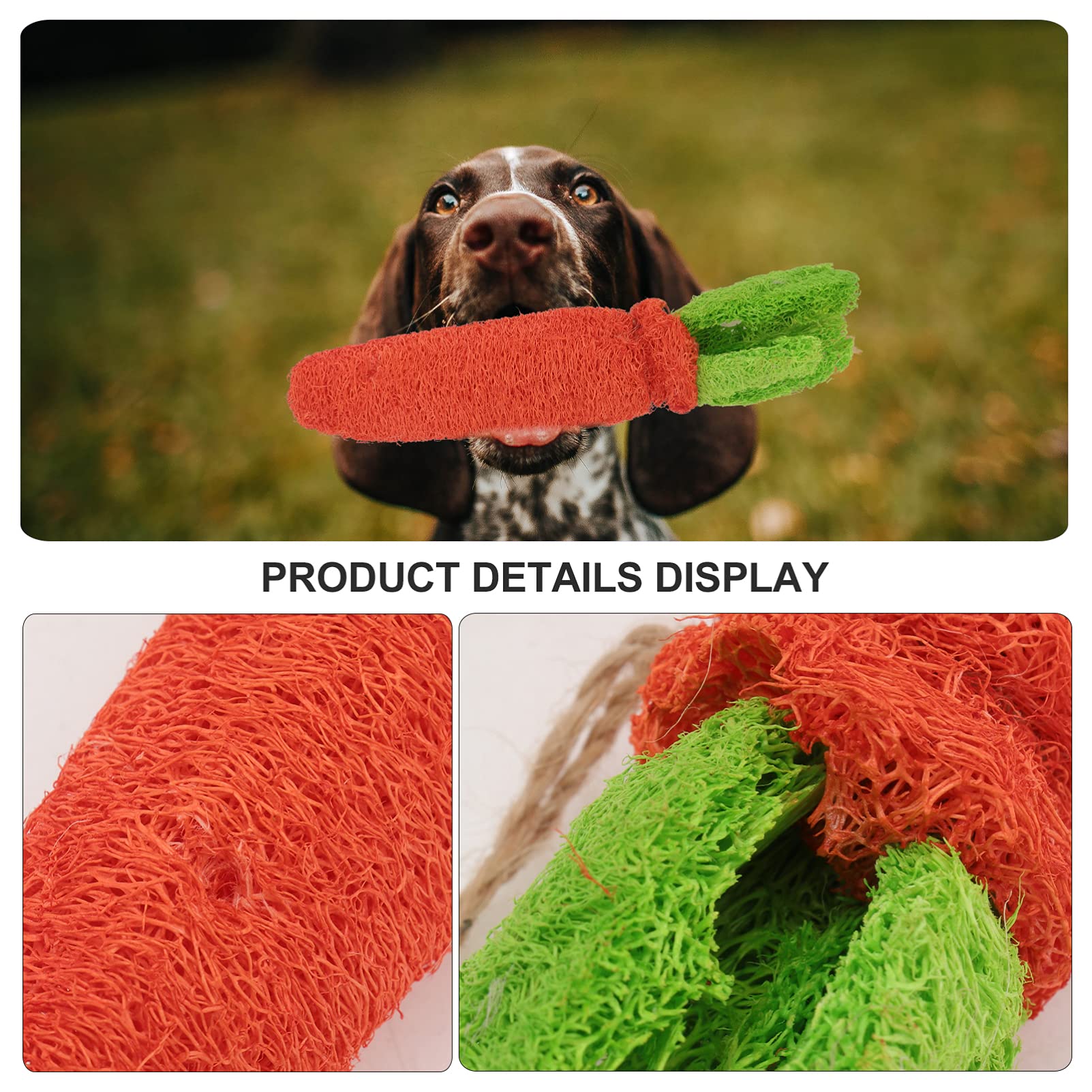 POPETPOP 2-Piece Loofah Rabbit Chew Toy for Small Pets - Natural Hamster Teeth Grinding & Molar Toy - Durable Biting Chew Toy for Rabbits, Hamsters & Guinea Pigs - Perfect for Dental Health & Stress Relief