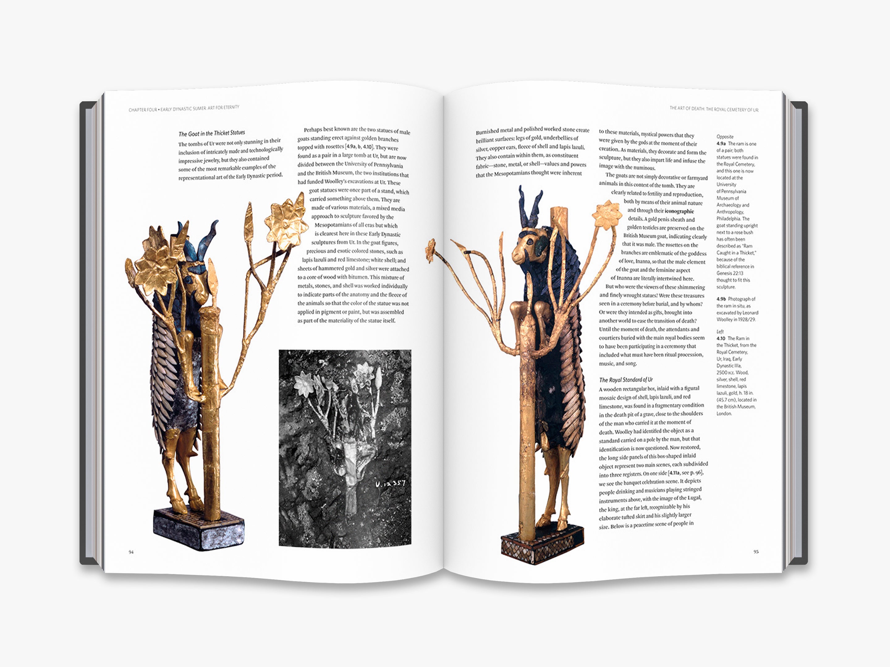 Mesopotamia Ancient History Books & Artifacts - Explore Sumerian, Babylonian, Akkadian Civilizations | Perfect for History Buffs, Classroom Learning & Cultural Decor