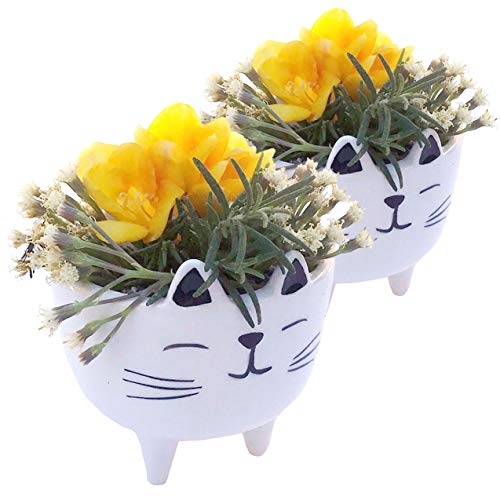 White Cat Mini