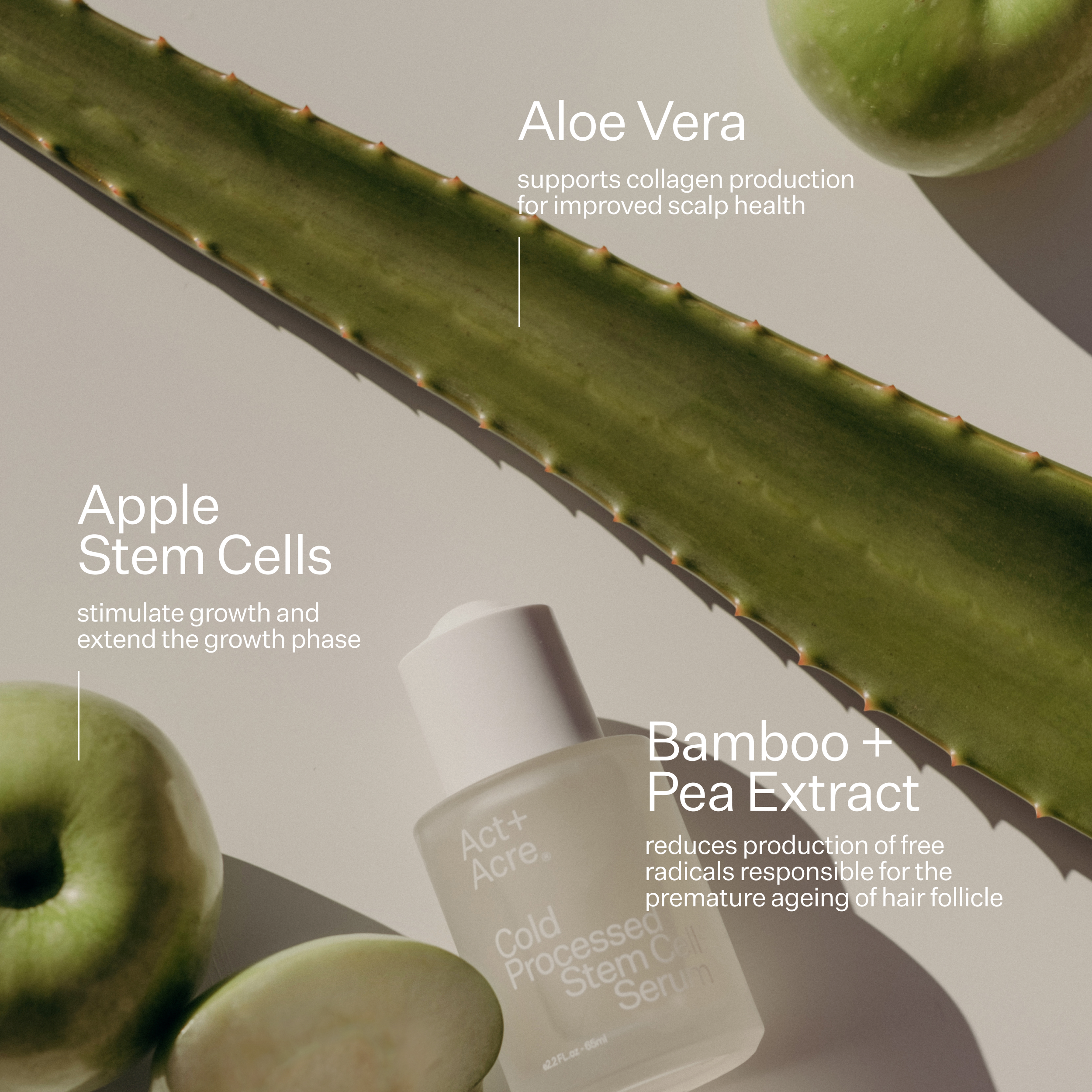 Stem Cell Scalp Serum for Hair Growth & Thinning Hair - Anti Hair Loss Treatment with Natural Ingredients - Perfect for Men & Women with Dry Scalp or Dandruff Issues