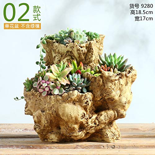 DOITOOL Succulent Planter - Simulation Tree Root Bonsai Pot, Small Desktop Plant Container for Home & Office Decor, Perfect for Succulents, Cacti, and Air Plants