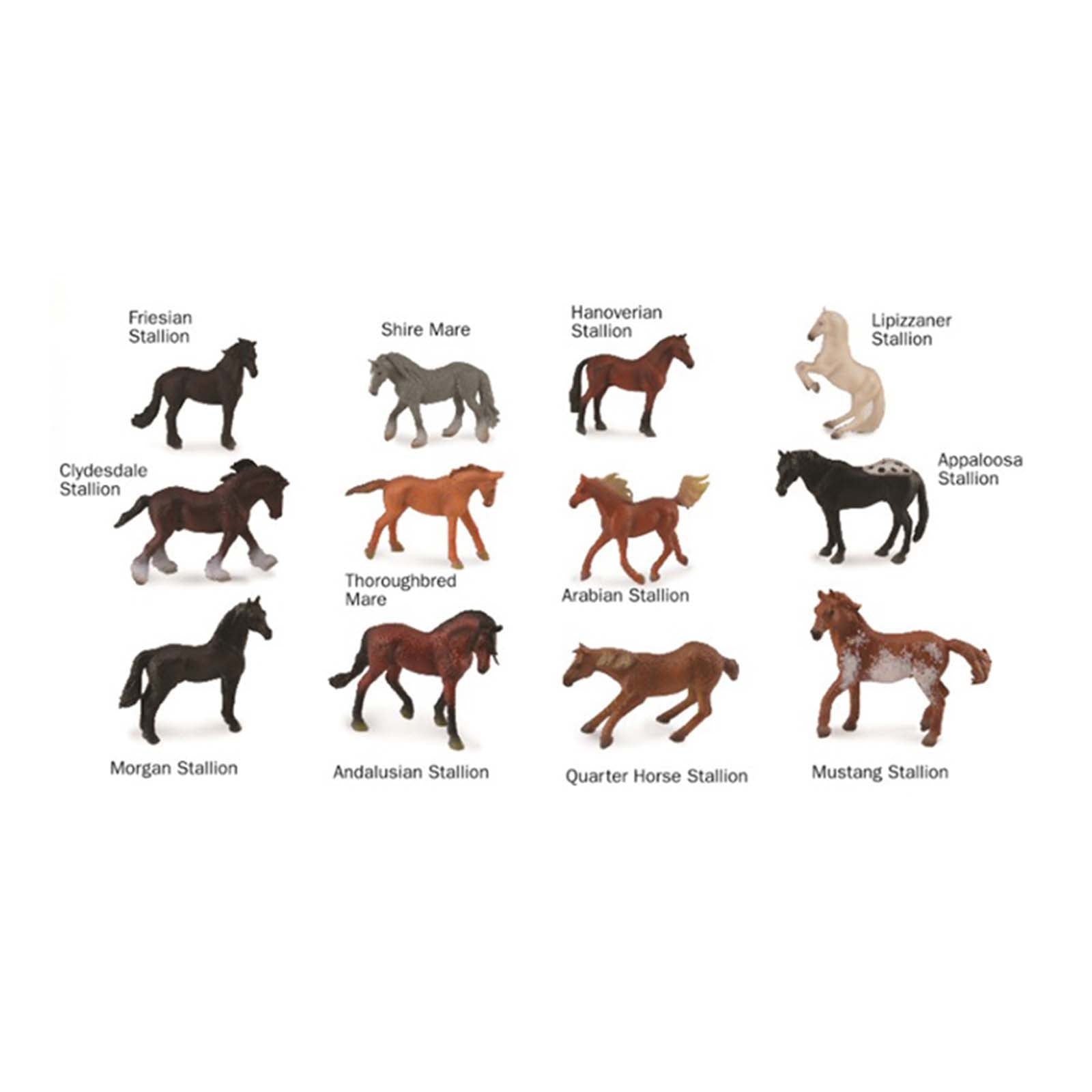 CollectA Miniature Horses Figure Set - 12 Realistic Toy Horse Models for Kids & Collectors - Perfect for Playtime, Farm Scenes & Educational Learning