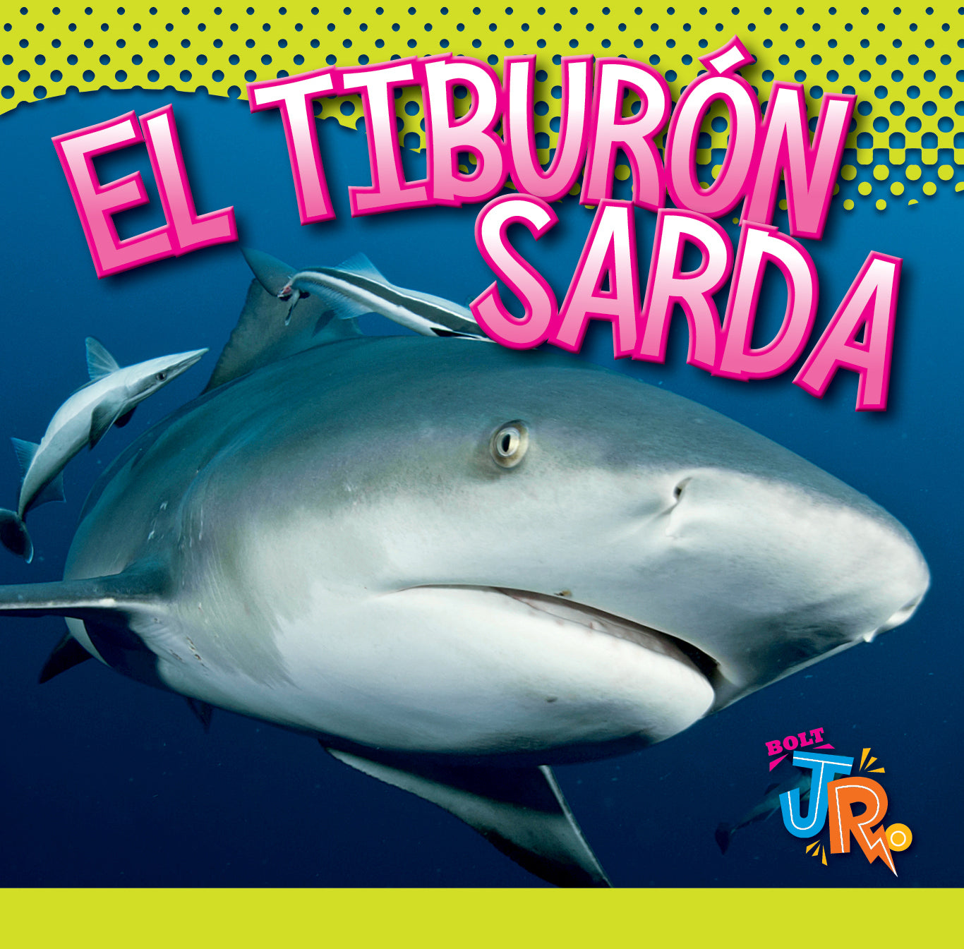 Premium Sardine Shark Toy - Realistic Ocean Animal Figure for Kids, Collectors & Educational Play - Perfect for Birthday Gifts, Classroom Learning & Diorama Displays