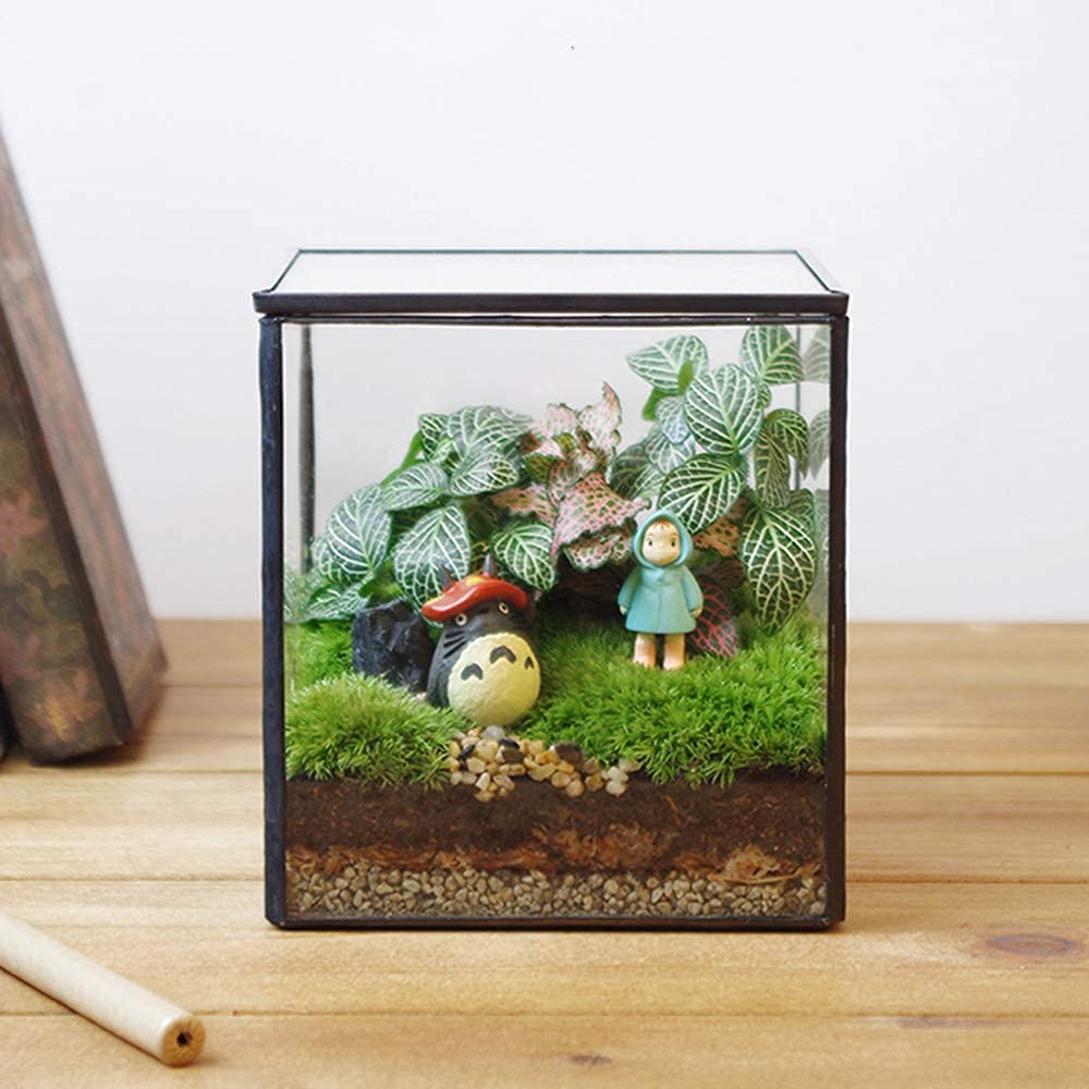 Square Glass Terrarium with Lid - 4.3x4.3x4.7 Inch Small Indoor Plant Box for Succulents, Moss & Air Plants - Handmade Geometric Tabletop Planter in Black - Perfect for Home Decor, Office Desk & Gift Ideas