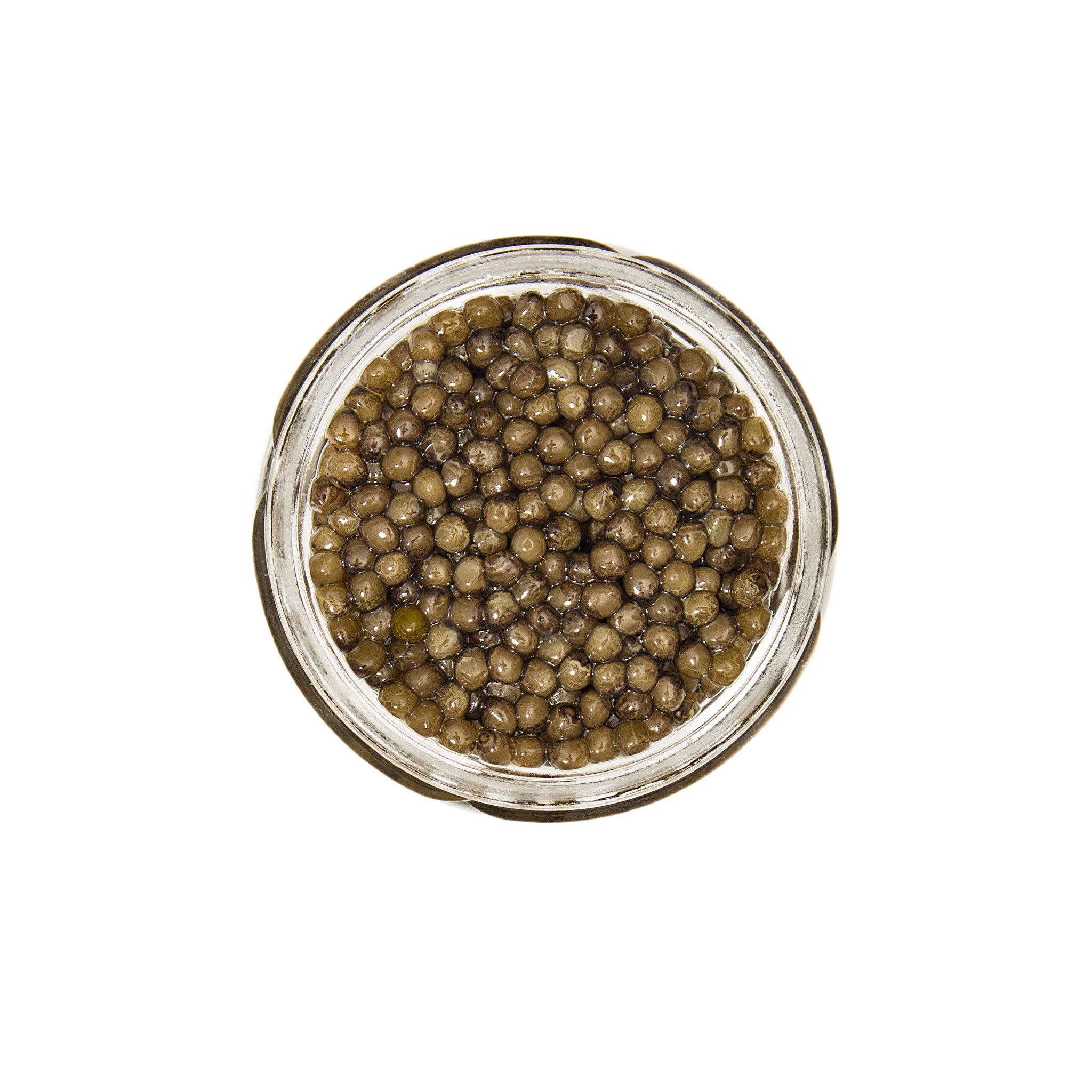 Premium 1oz Royal Imported Osetra Caviar Gift Set with Mother of Pearl Spoon & Blini - Luxury Gourmet Food for Special Occasions, Weddings & Holiday Gifting