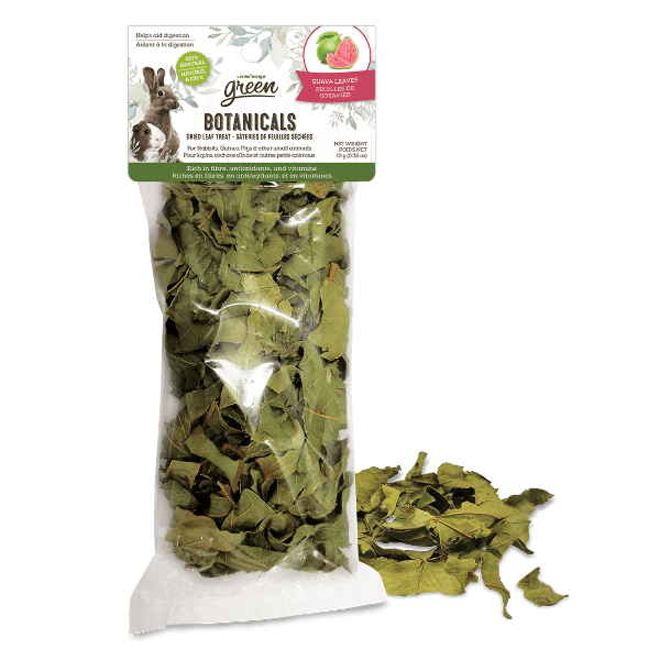 Living World Green Botanicals Dried Guava Leaves - Natural Small Pet Treats for Rabbits, Guinea Pigs & Hamsters - Perfect for Foraging & Enrichment Activities