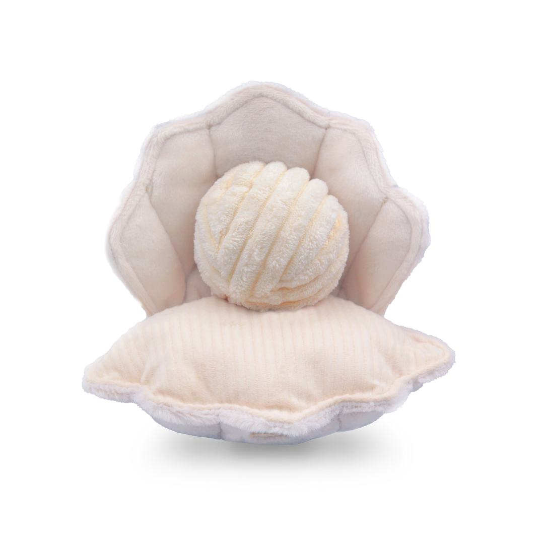 Fresh Oyster Pop - Premium Oyster Snack with Natural Sea Salt | Perfect for Parties, Picnics & Healthy Snacking