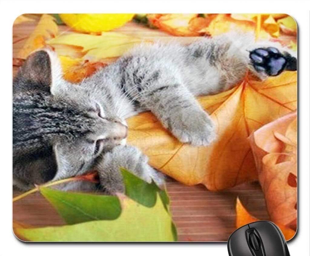 Playful Kitten in Leaves Mouse Pad - Non-Slip Gaming Mousepad for Computers & Laptops - Perfect for Office, Gaming & Home Workspace