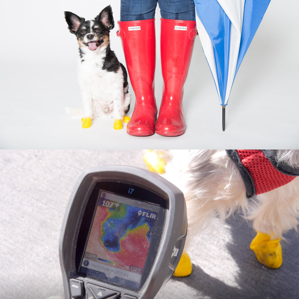 **Pawz Black Dog Boots - Waterproof & Durable Pet Shoes for All Seasons - Perfect for Hiking, Snow, and Hot Pavement Protection**