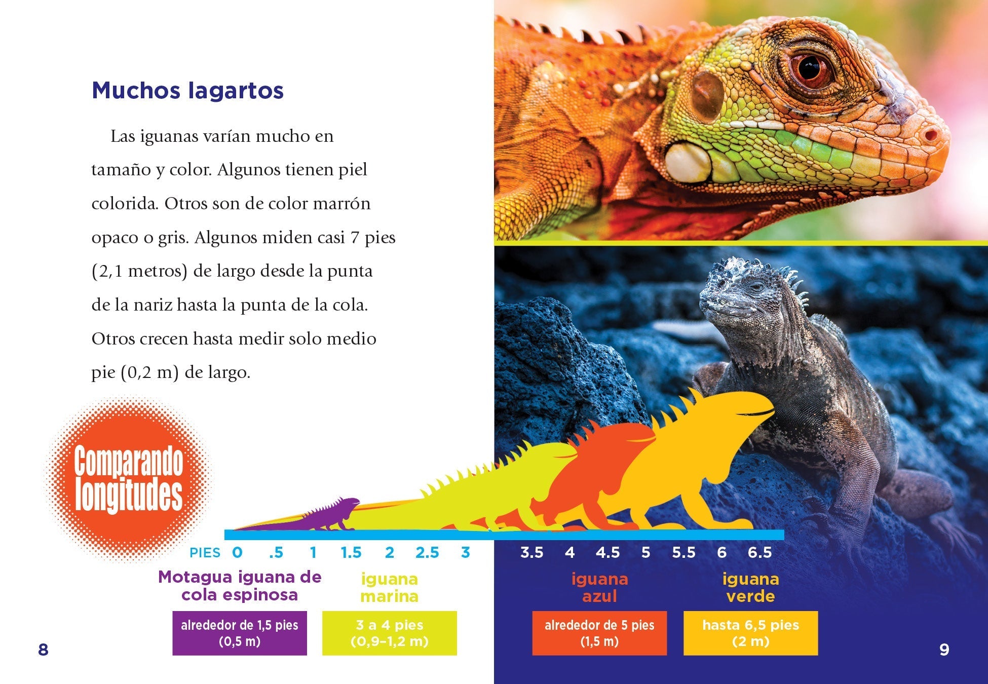 Iguanas Book - 9781623109615 - Learn About Iguanas, Their Habitat & Care - Perfect for Reptile Lovers & Pet Owners