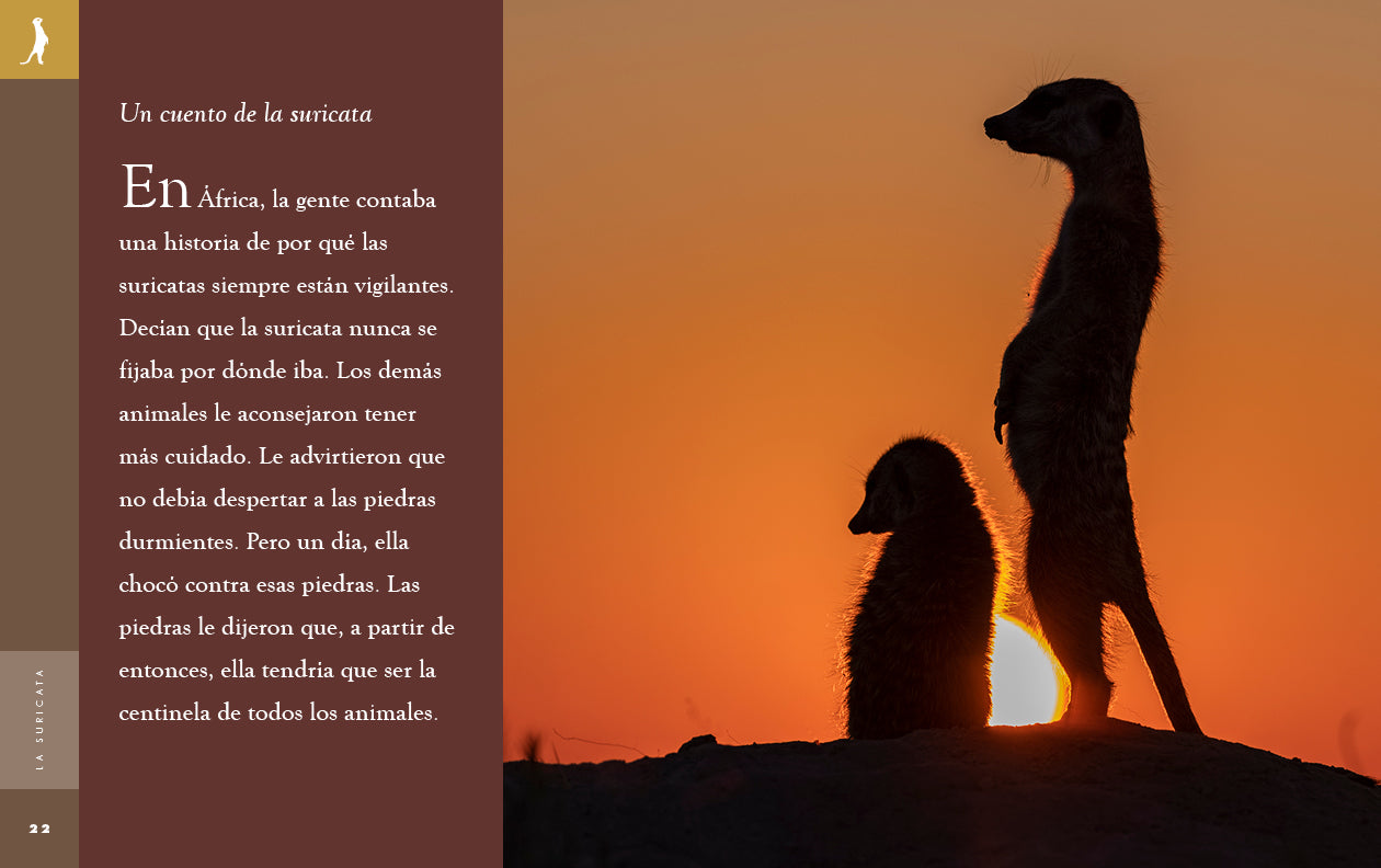 La Suricata Book 9781640266940 - Wildlife Adventure Story for Kids, Perfect for Bedtime Reading & Classroom Learning