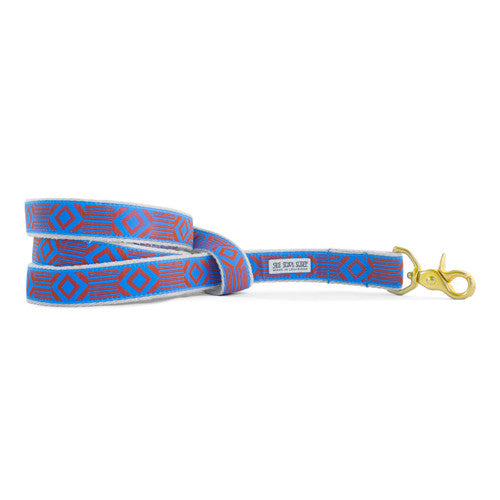 Out of My Box Dog Leash - Durable and Stylish Lake Blue & Rust Pet Leash for Walking, Training, and Outdoor Adventures