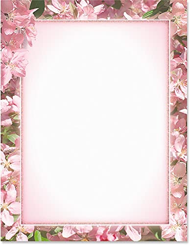 Apple Blossoms